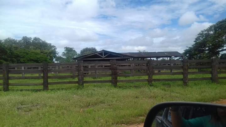 Fazenda no Mato Grosso Ideal para empreendimento Turismo Rural | Nova Nazaré - MT  | código 1018