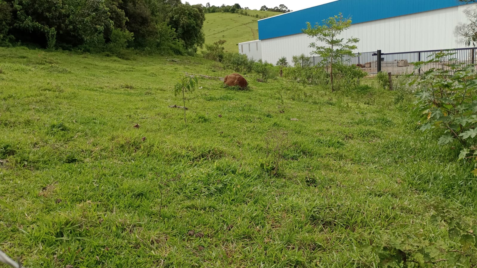 Área Industrial apenas 50 metros da Fernão Dias | Cambuí - MG | código 930
