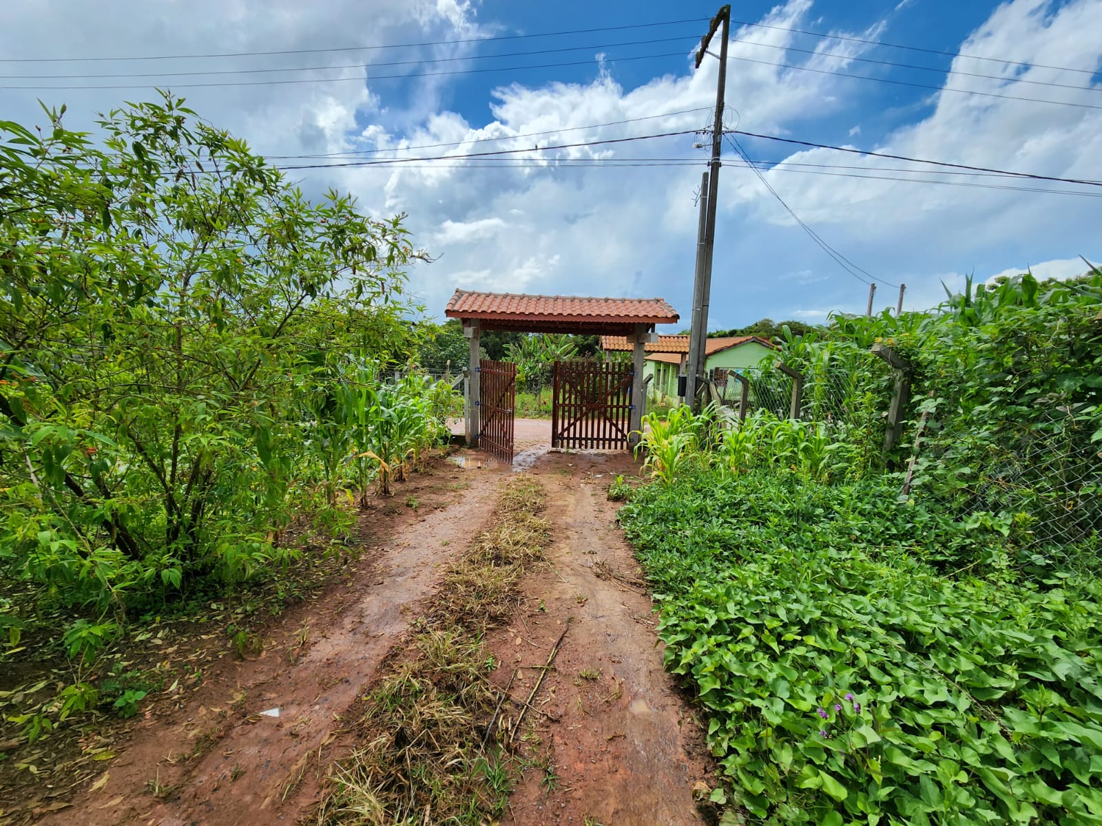 Chácara I casa avarandada com 2 dormitórios, sala de tv, local Munhoz- MG Codigo 1099