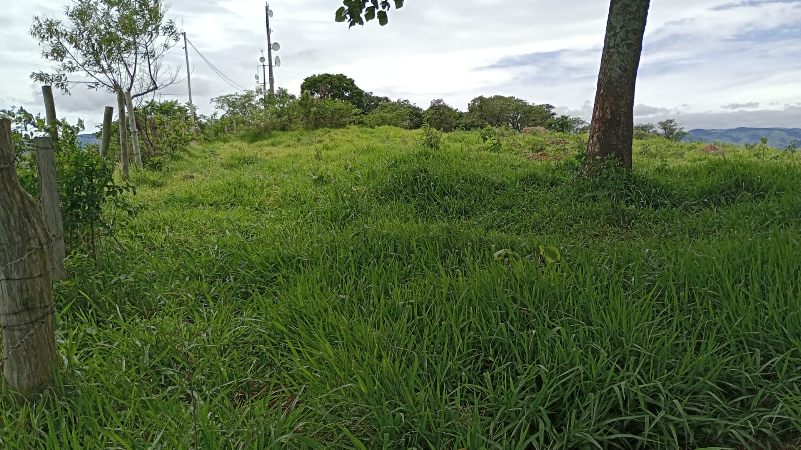 Terreno Industrial com 25.000 m² – Localização Privilegiada e Uso Misto | Cód. 1135