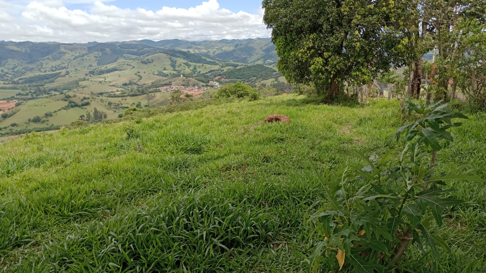 Terreno Industrial com 25.000 m² – Localização Privilegiada e Uso Misto | Cód. 1135