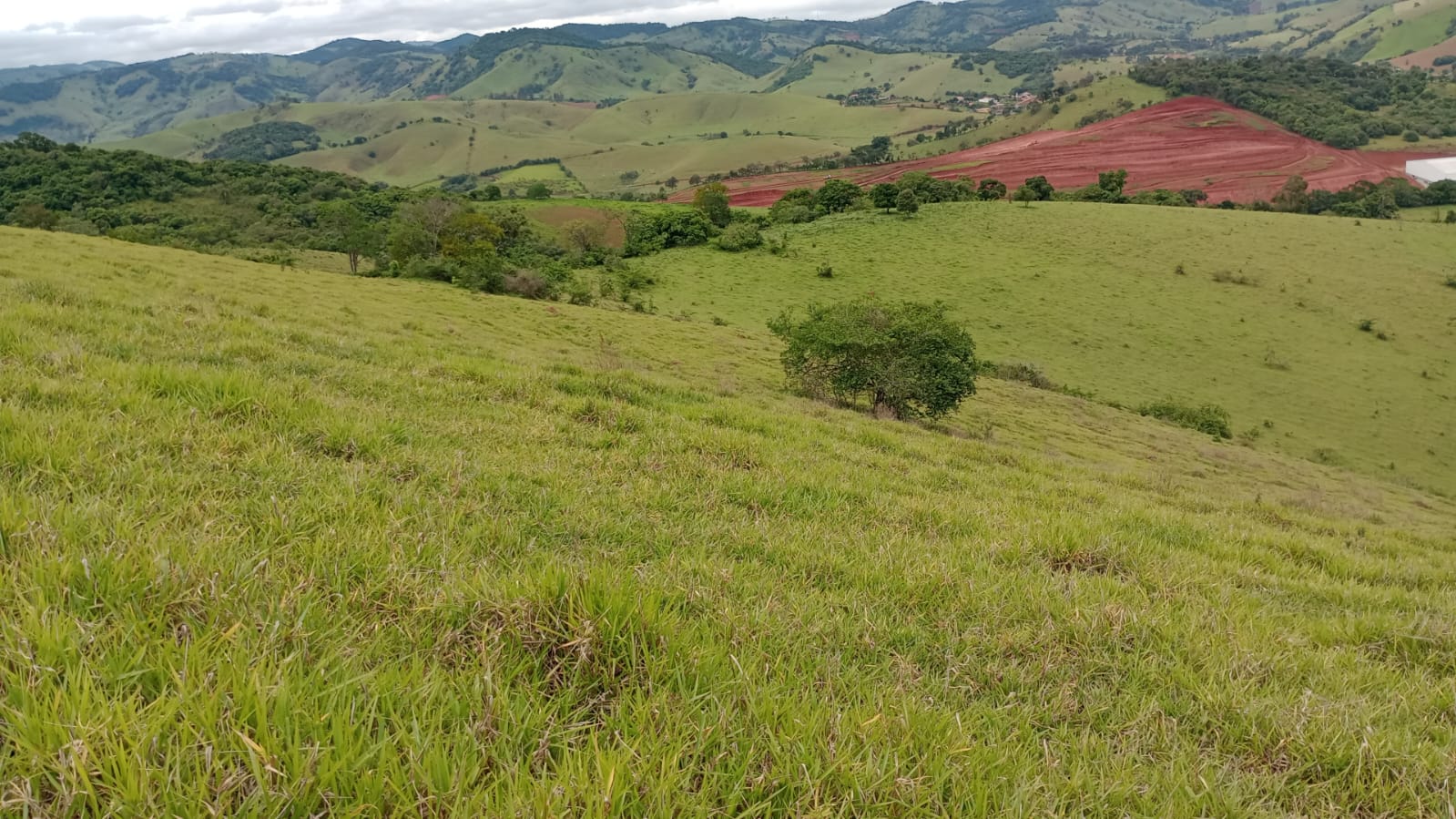 Terreno Industrial com 25.000 m² – Localização Privilegiada e Uso Misto | Cód. 1135