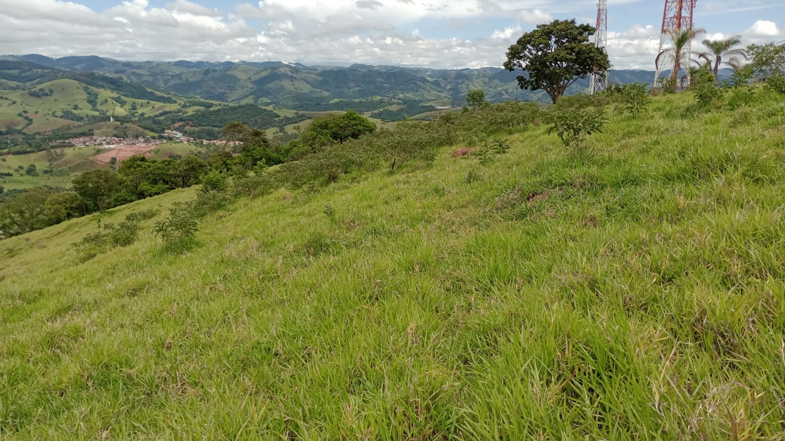 Terreno Industrial com 25.000 m² – Localização Privilegiada e Uso Misto | Cód. 1135