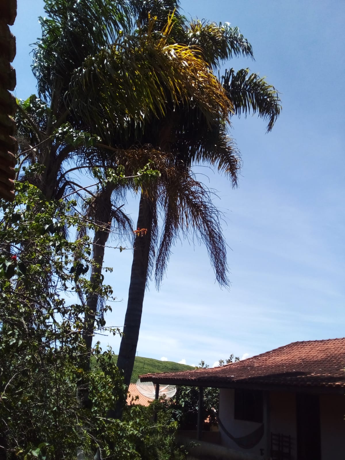 chácara com casa excelente localização topografia plana - Munhos MG