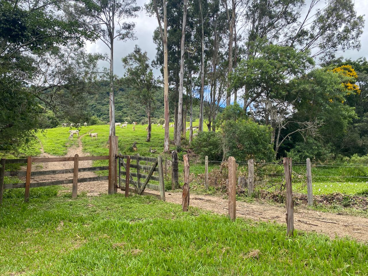 Fazenda com casas, piscina e demais áreas de lazer. ótima topografia em Extrema - MG