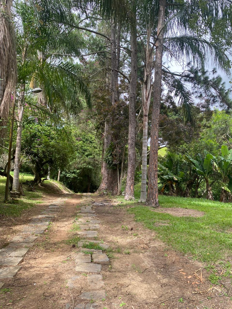 Fazenda com casas, piscina e demais áreas de lazer. ótima topografia em Extrema - MG