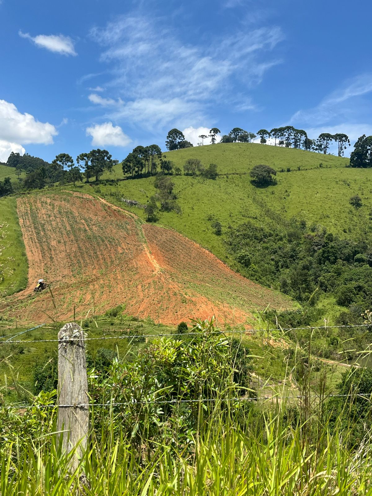 Terreno de 6 Alqueires localizado em São Mateus de Minas - Cód. 1153