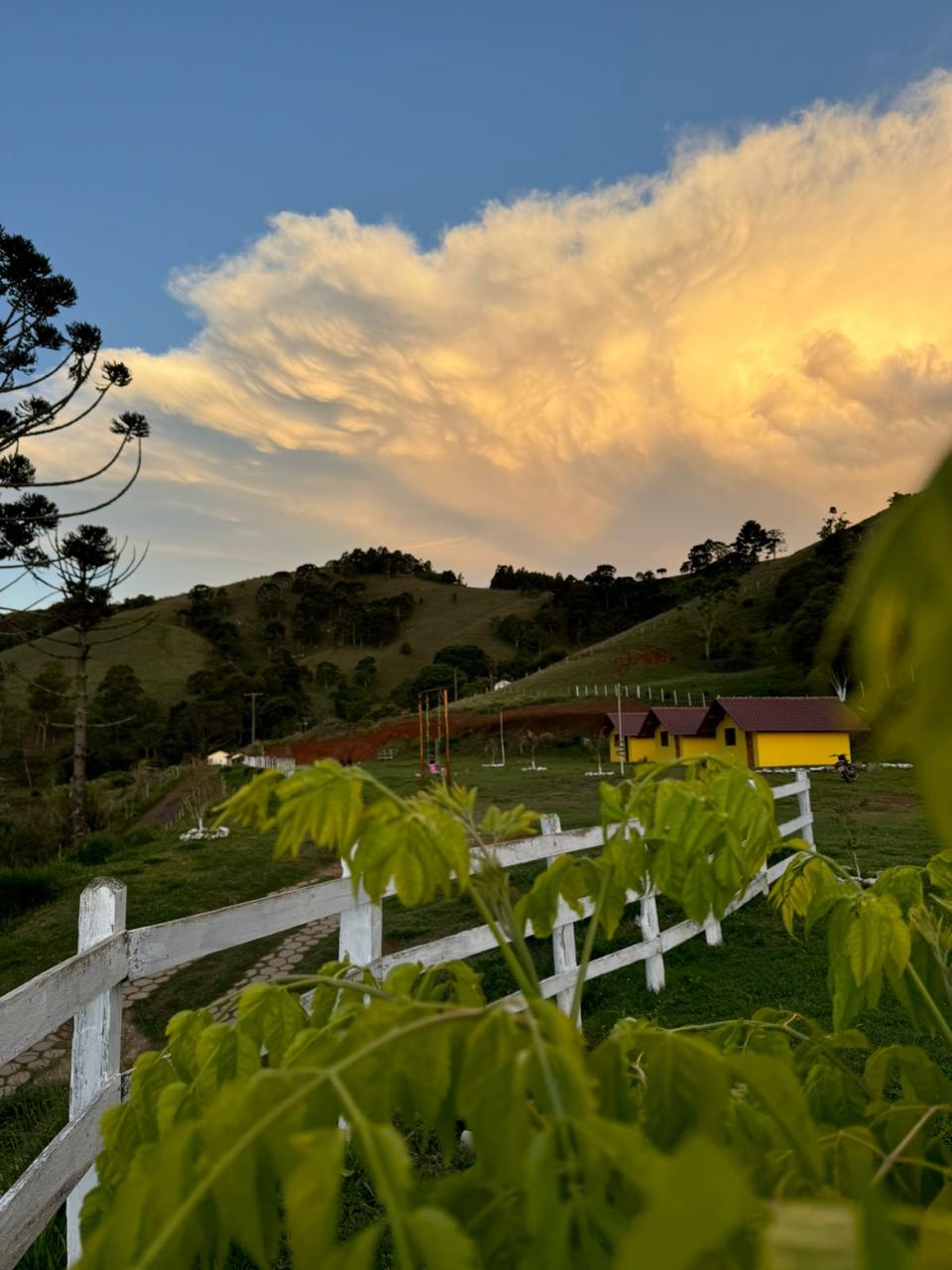 Terreno de 6 Alqueires localizado em São Mateus de Minas - Cód. 1153