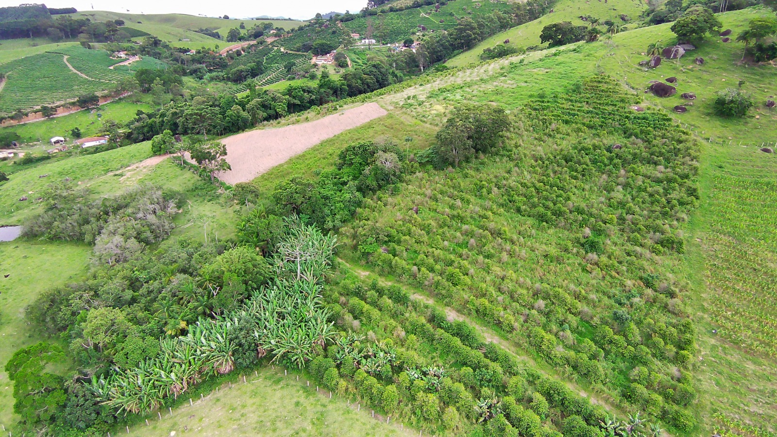 Fazenda para café ou gado com 33,5 alqueires em Ouro Fino - Minas Gerais