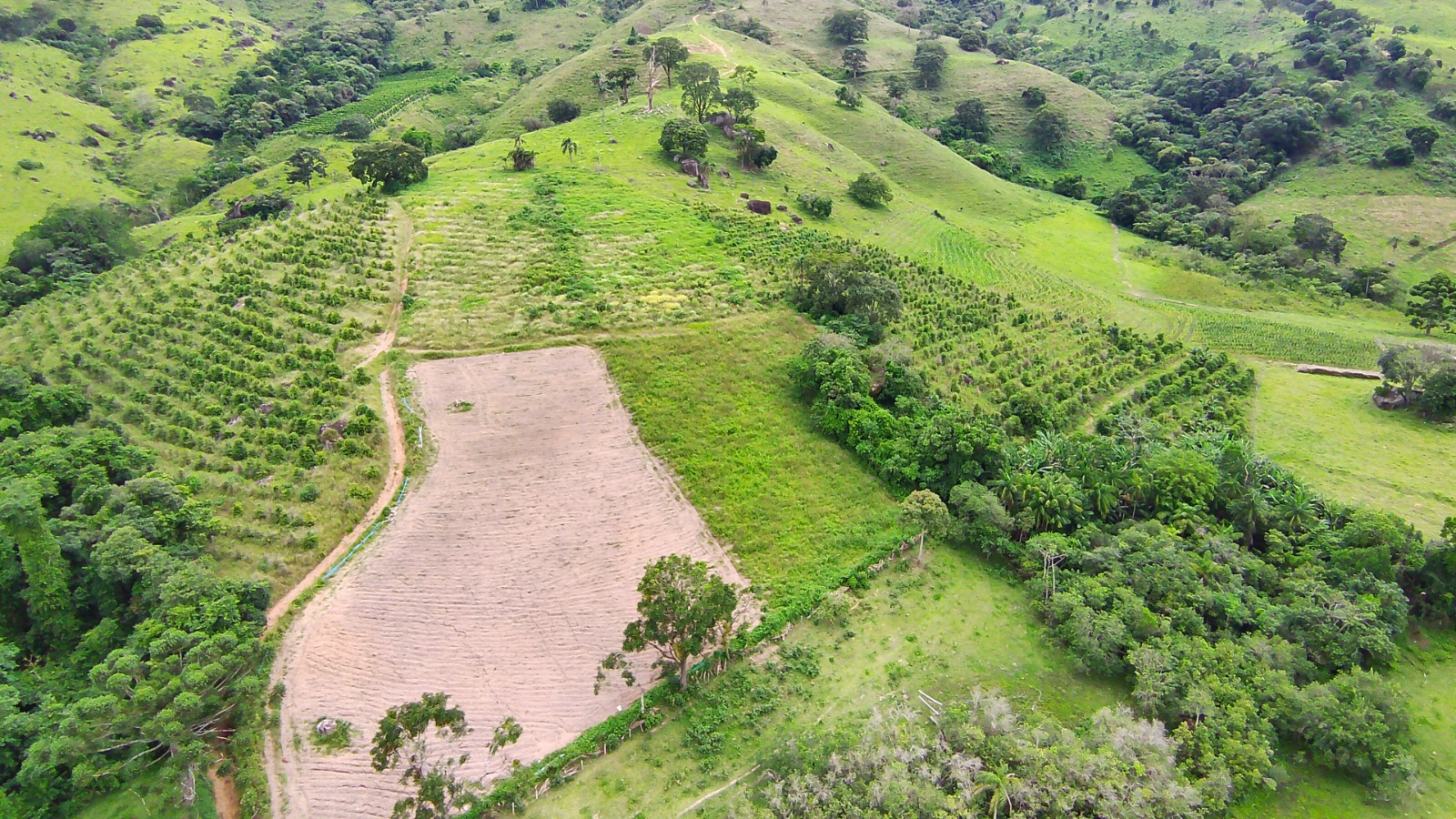Fazenda para café ou gado com 33,5 alqueires em Ouro Fino - Minas Gerais