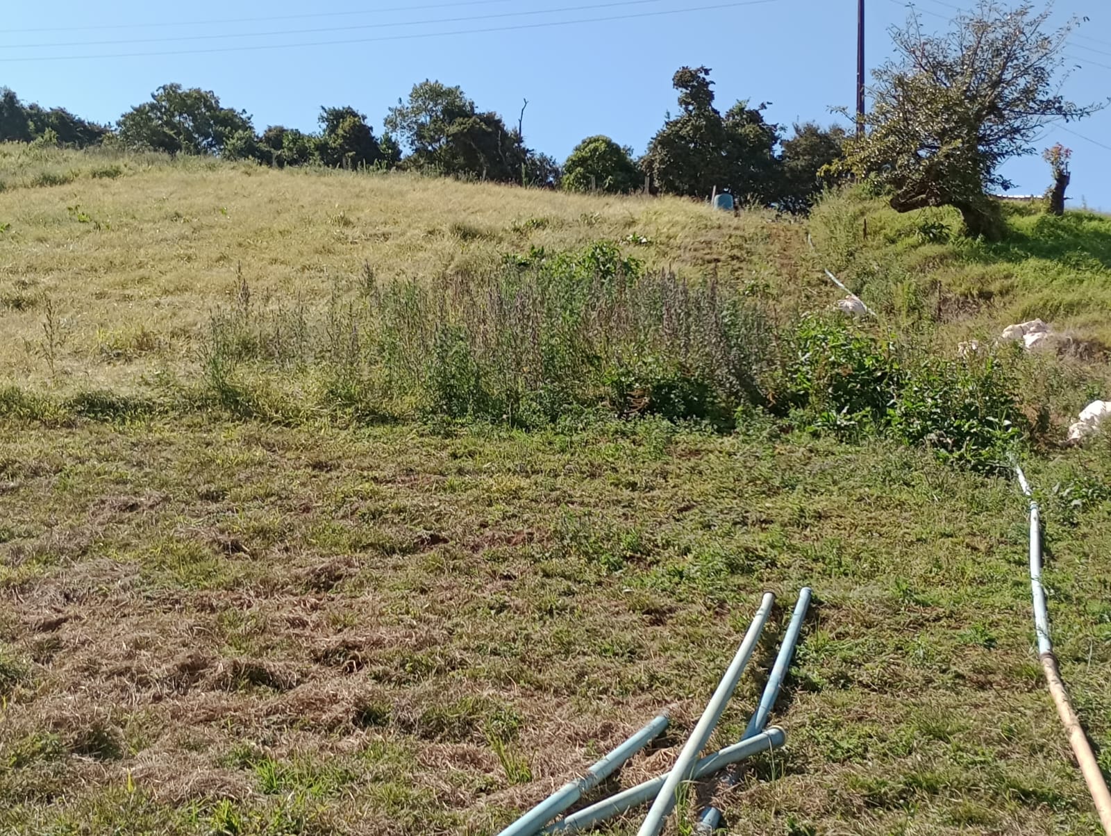 sitio com lago, tanques para peixes, casa, bom acesso | Congonhal - MG