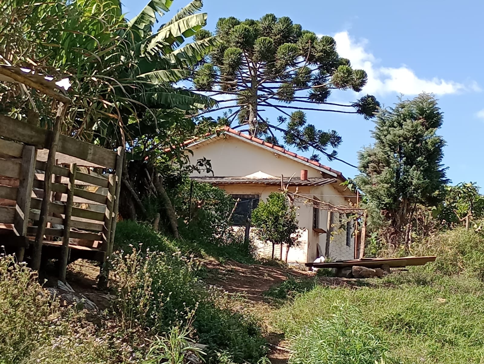 sitio com lago, tanques para peixes, casa, bom acesso | Congonhal - MG