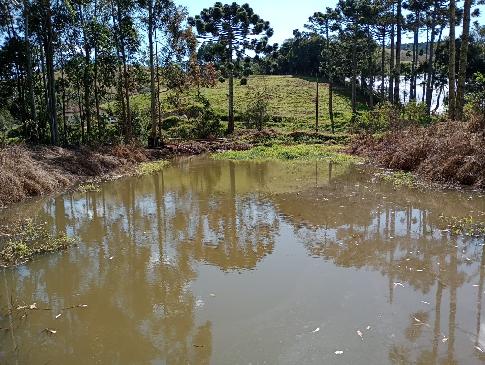 sitio com lago, tanques para peixes, casa, bom acesso | Congonhal - MG