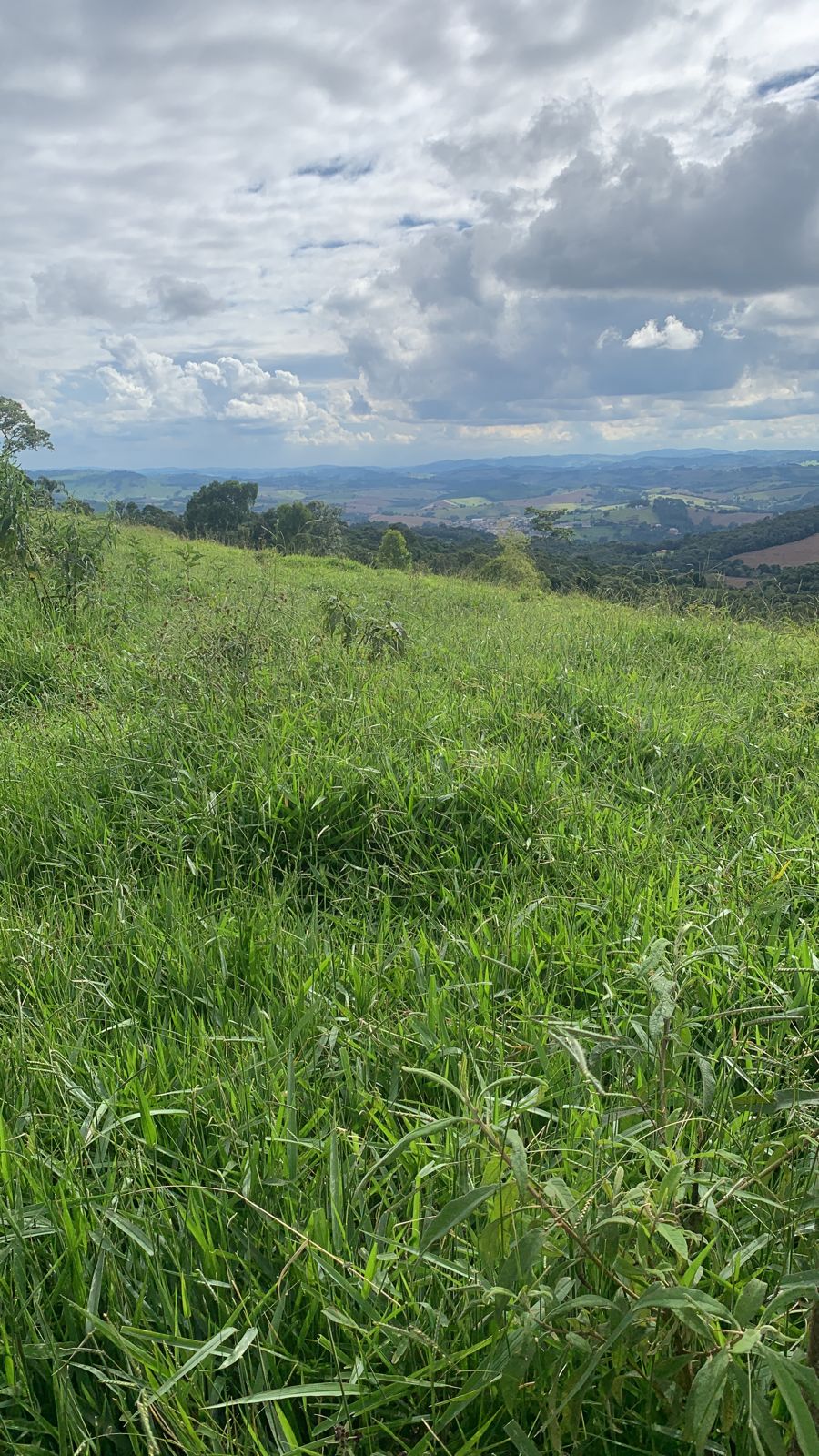 Terreno com vista panorâmica para construir chácara | Extrema - MG  | código 1009