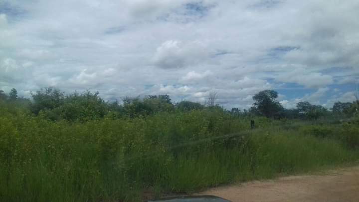 Fazenda no Mato Grosso Ideal para empreendimento Turismo Rural | Nova Nazaré - MT  | código 1018