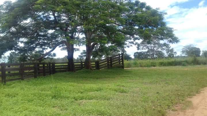 Fazenda no Mato Grosso Ideal para empreendimento Turismo Rural | Nova Nazaré - MT  | código 1018