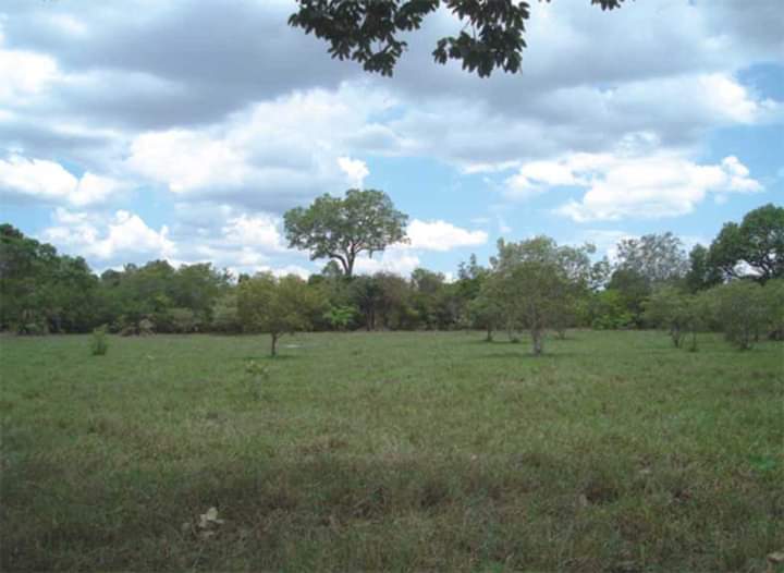 Fazenda no Mato Grosso Ideal para empreendimento Turismo Rural | Nova Nazaré - MT  | código 1018