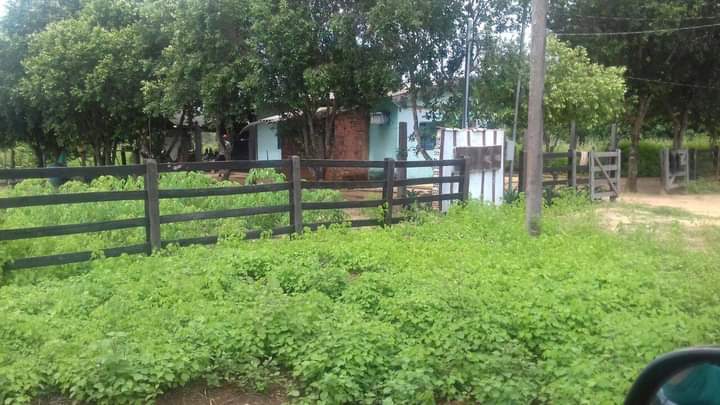 Fazenda no Mato Grosso Ideal para empreendimento Turismo Rural | Nova Nazaré - MT  | código 1018