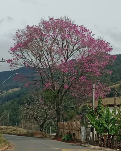 Sítio com nascente, córrego, lago +casa pequena simples; documentado | Extrema - MG  | código 1023