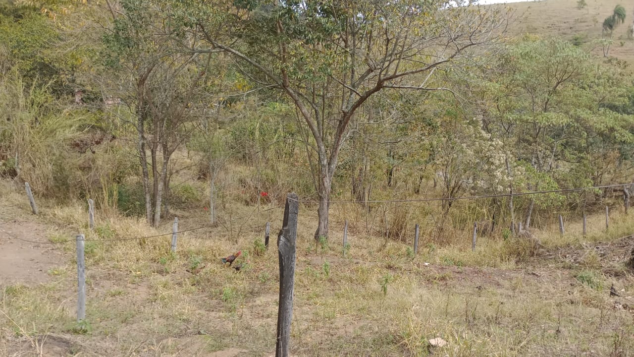 Sítio com nascente, córrego, lago +casa pequena simples; documentado | Extrema - MG  | código 1023