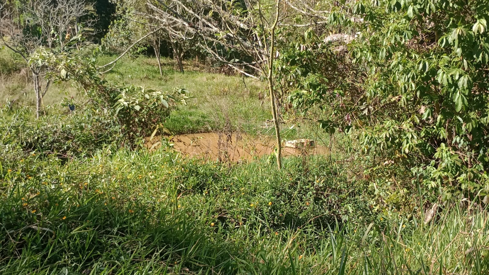 Terreno com potencial para chácara, 3,5 km  cidade de Extrema  | código 1028