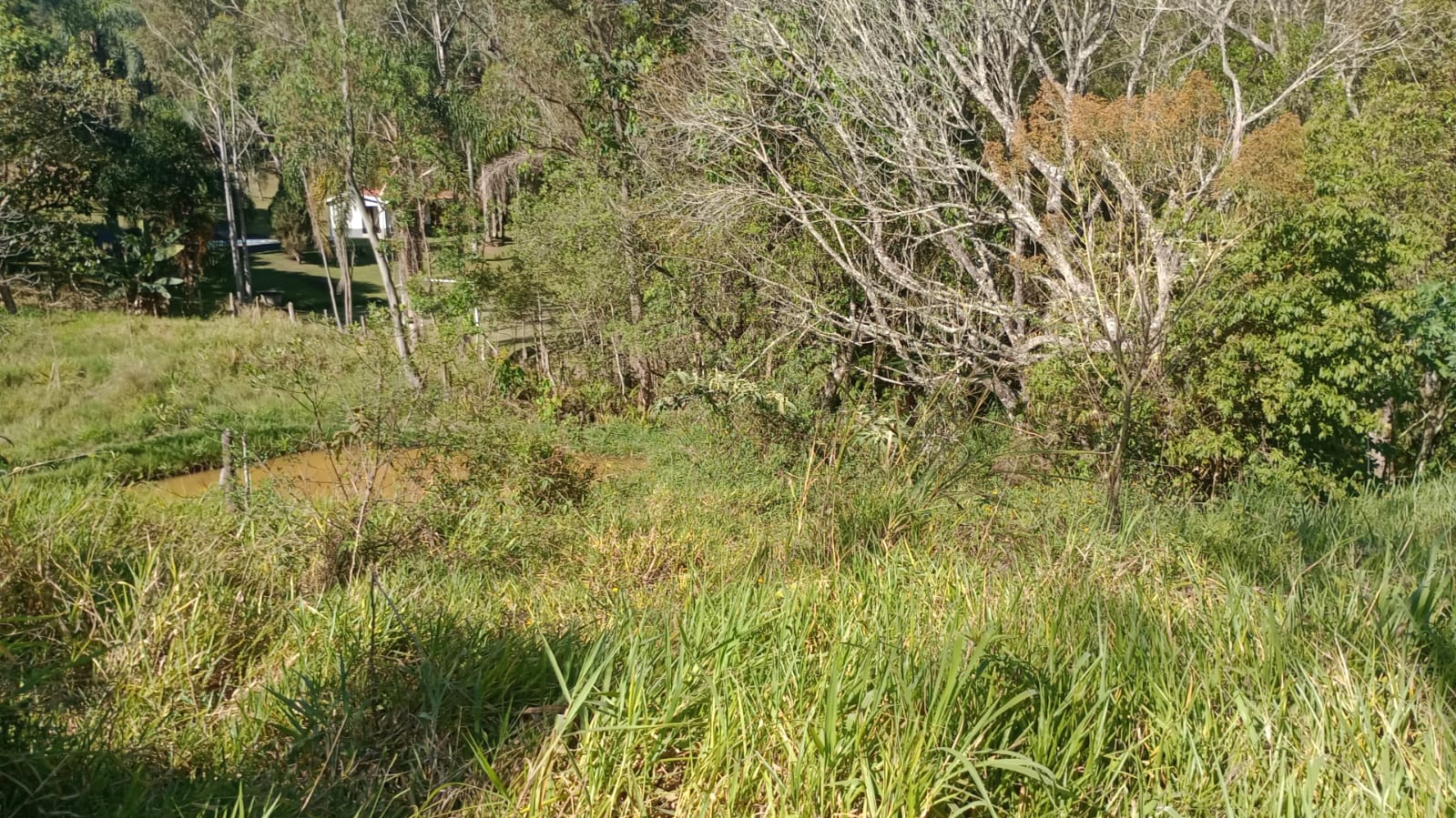 Terreno com potencial para chácara, 3,5 km  cidade de Extrema  | código 1028