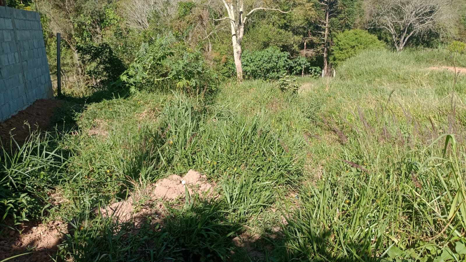 Terreno com potencial para chácara, 3,5 km  cidade de Extrema  | código 1028