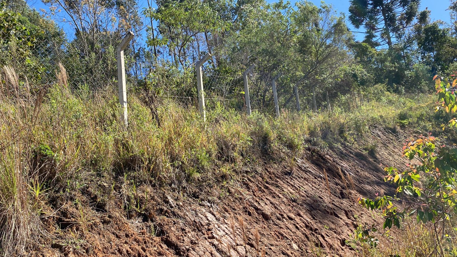 Terreno para formação de uma chácara é uma oportunidade excelente. | Extrema - MG  | código 1032