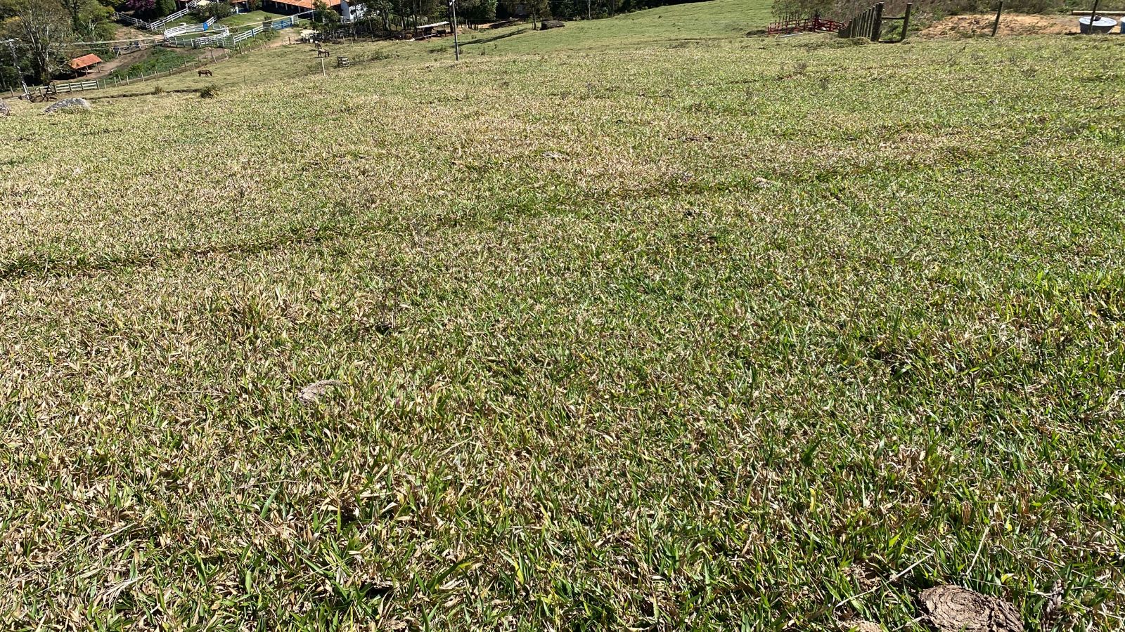 Terreno na divisa com Toledo com Extrema, e pertence a Toledo  | código 1034