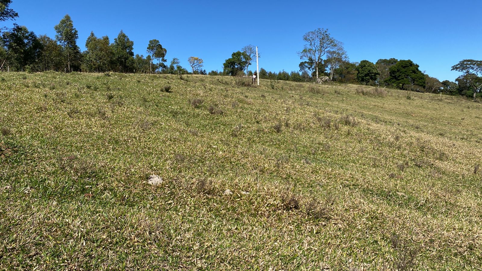 Terreno na divisa com Toledo com Extrema, e pertence a Toledo  | código 1034