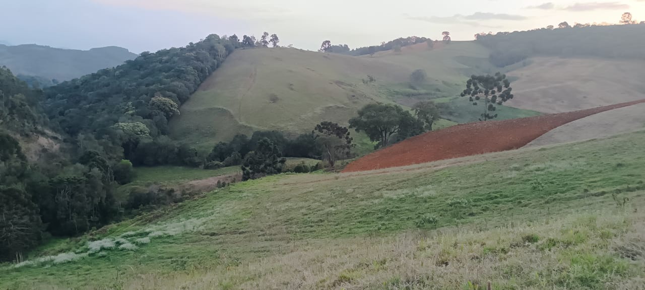 Fazenda com casas, excelente para plantio ou pecuária, varias nascentes | Camanducaia - MG  | código 1037