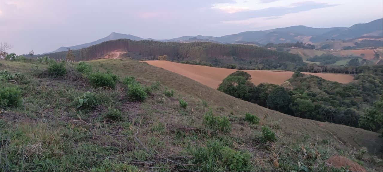 Fazenda com casas, excelente para plantio ou pecuária, varias nascentes | Camanducaia - MG  | código 1037