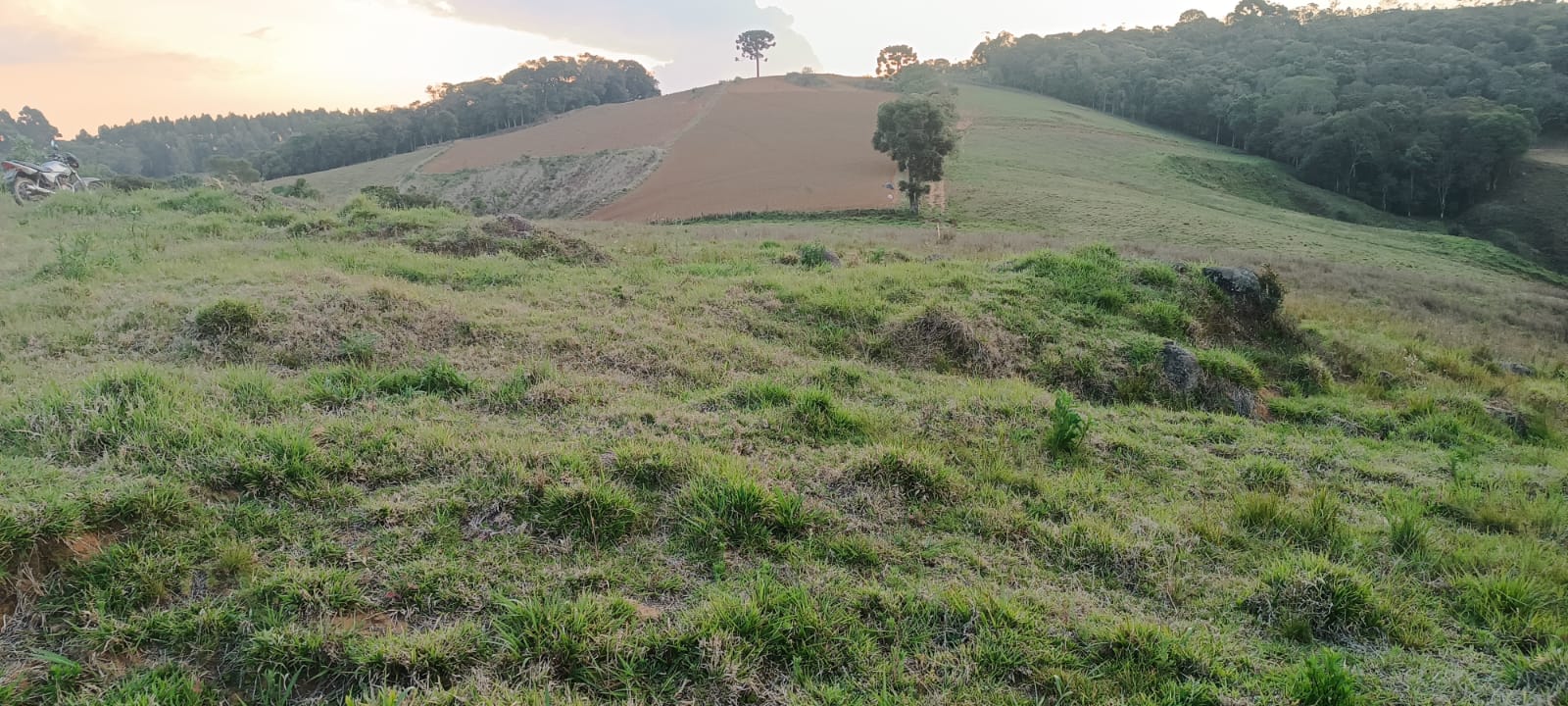 Fazenda com casas, excelente para plantio ou pecuária, varias nascentes | Camanducaia - MG  | código 1037