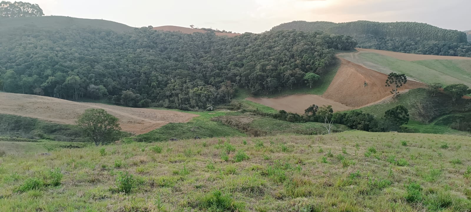 Fazenda com casas, excelente para plantio ou pecuária, varias nascentes | Camanducaia - MG  | código 1037