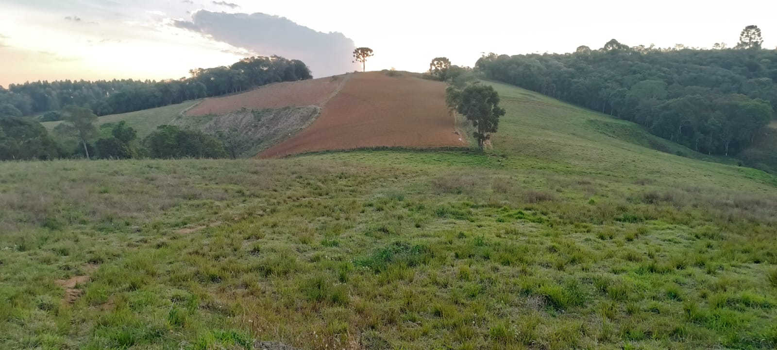 Fazenda com casas, excelente para plantio ou pecuária, varias nascentes | Camanducaia - MG  | código 1037