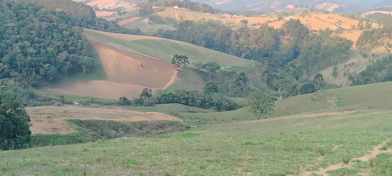 Fazenda com casas, excelente para plantio ou pecuária, varias nascentes | Camanducaia - MG  | código 1037