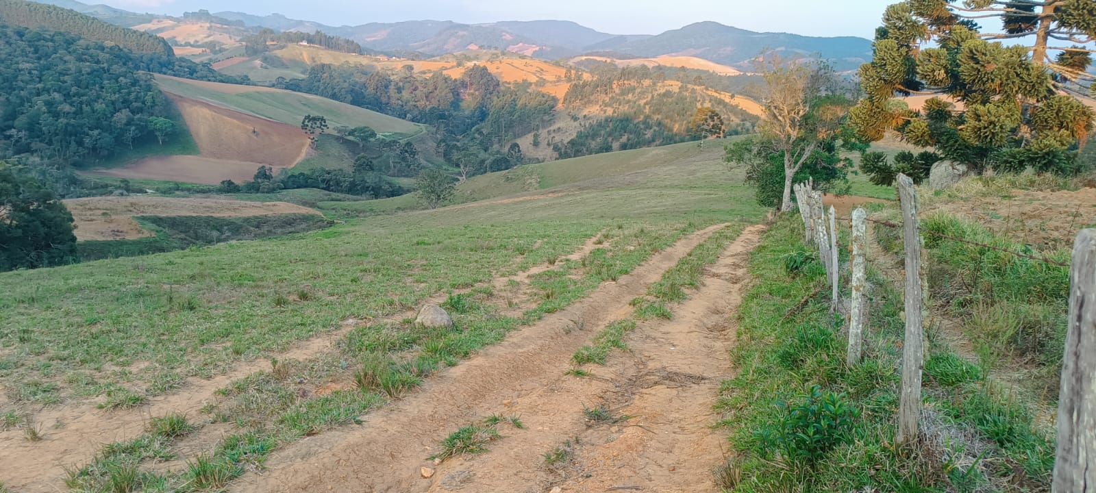 Fazenda com casas, excelente para plantio ou pecuária, varias nascentes | Camanducaia - MG  | código 1037