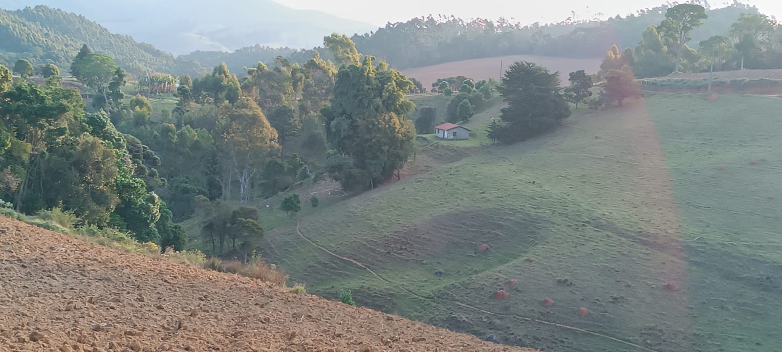 Fazenda com casas, excelente para plantio ou pecuária, varias nascentes | Camanducaia - MG  | código 1037