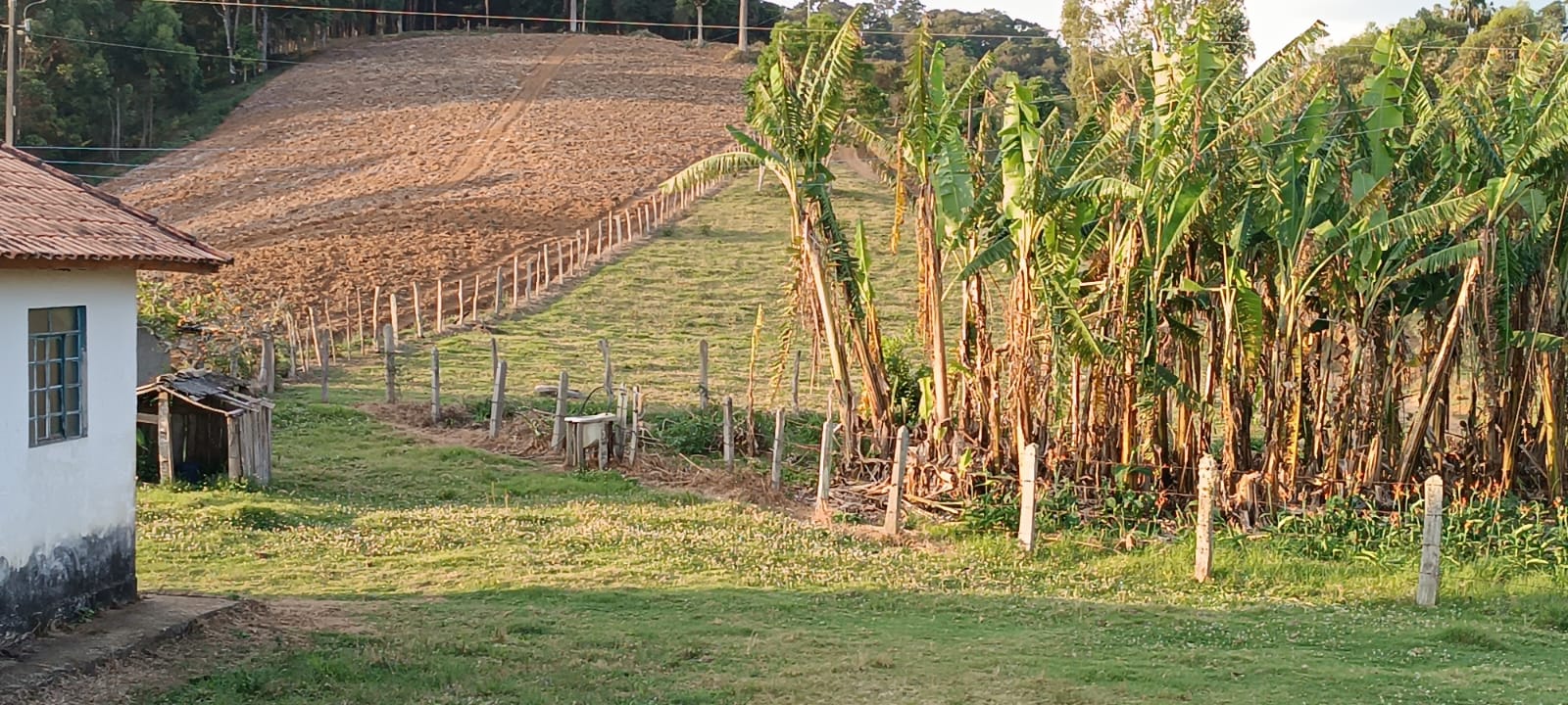 Fazenda com casas, excelente para plantio ou pecuária, varias nascentes | Camanducaia - MG  | código 1037