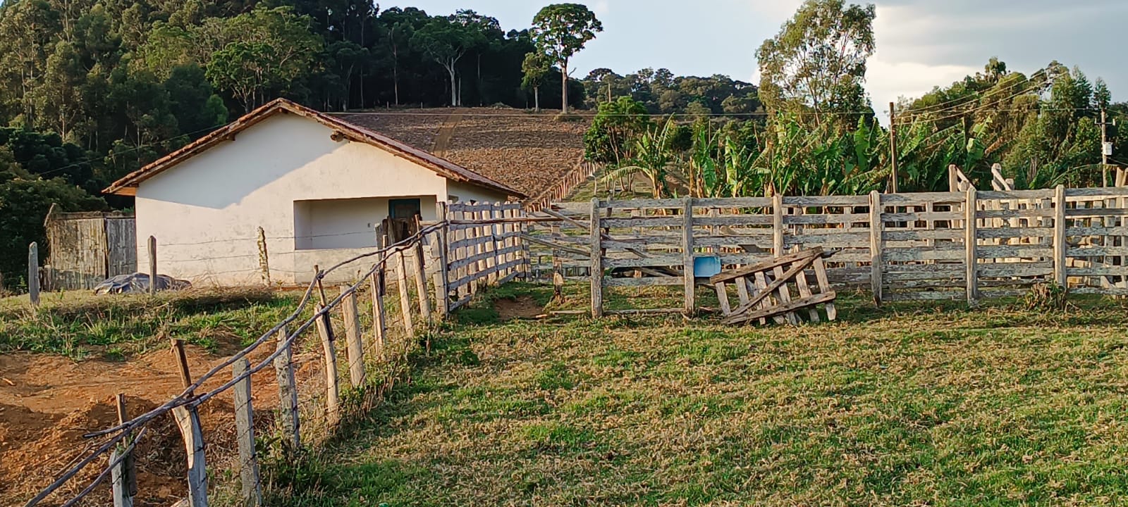 Fazenda com casas, excelente para plantio ou pecuária, varias nascentes | Camanducaia - MG  | código 1037