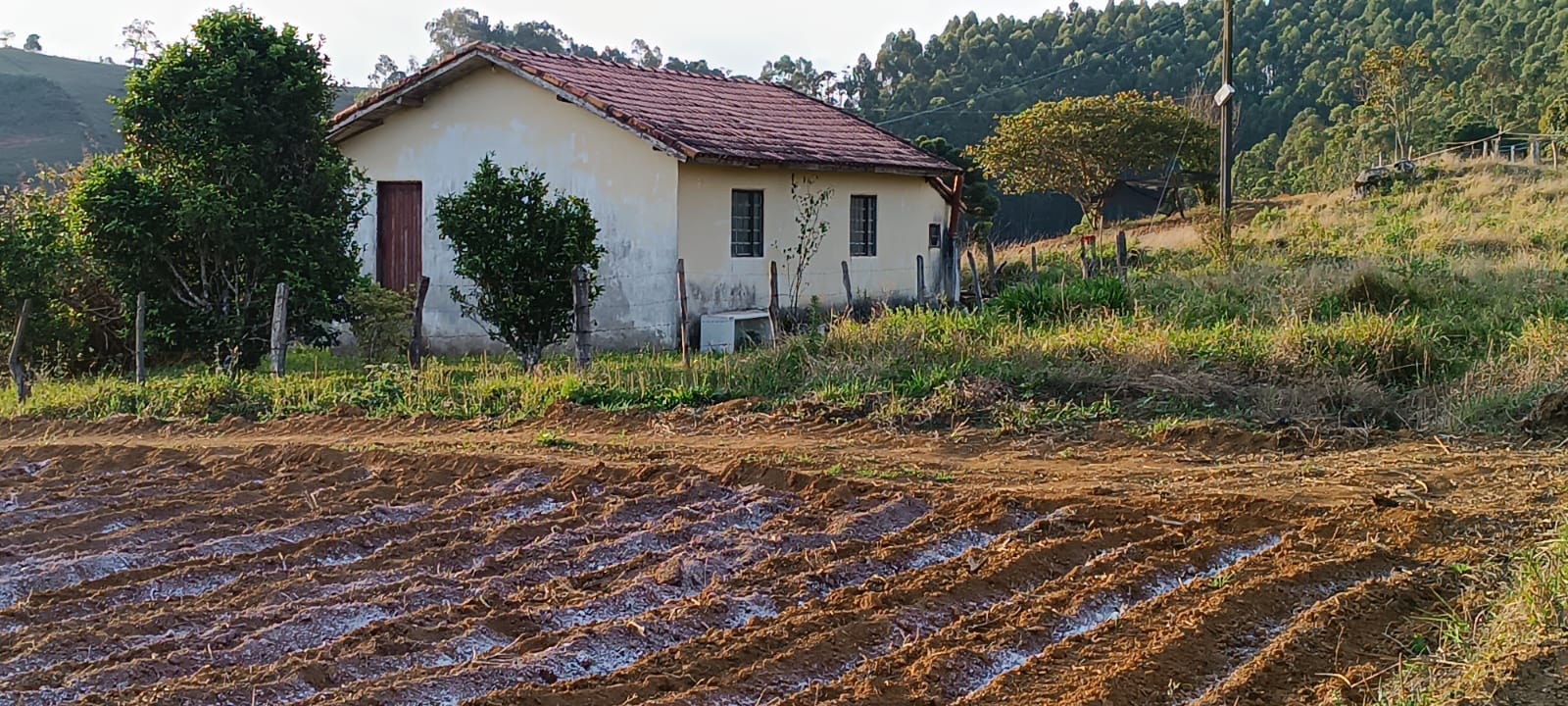 Fazenda com casas, excelente para plantio ou pecuária, varias nascentes | Camanducaia - MG  | código 1037