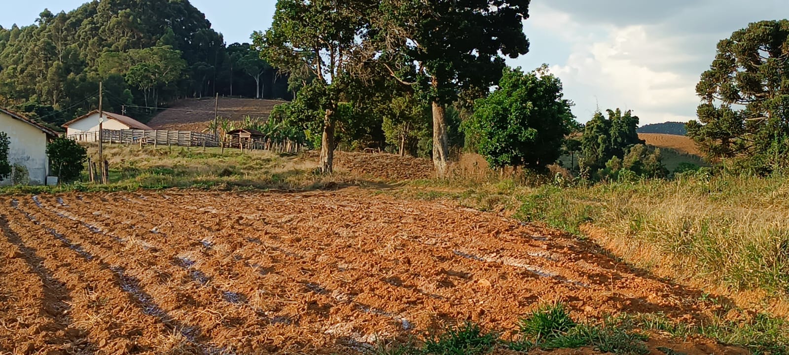 Fazenda com casas, excelente para plantio ou pecuária, varias nascentes | Camanducaia - MG  | código 1037