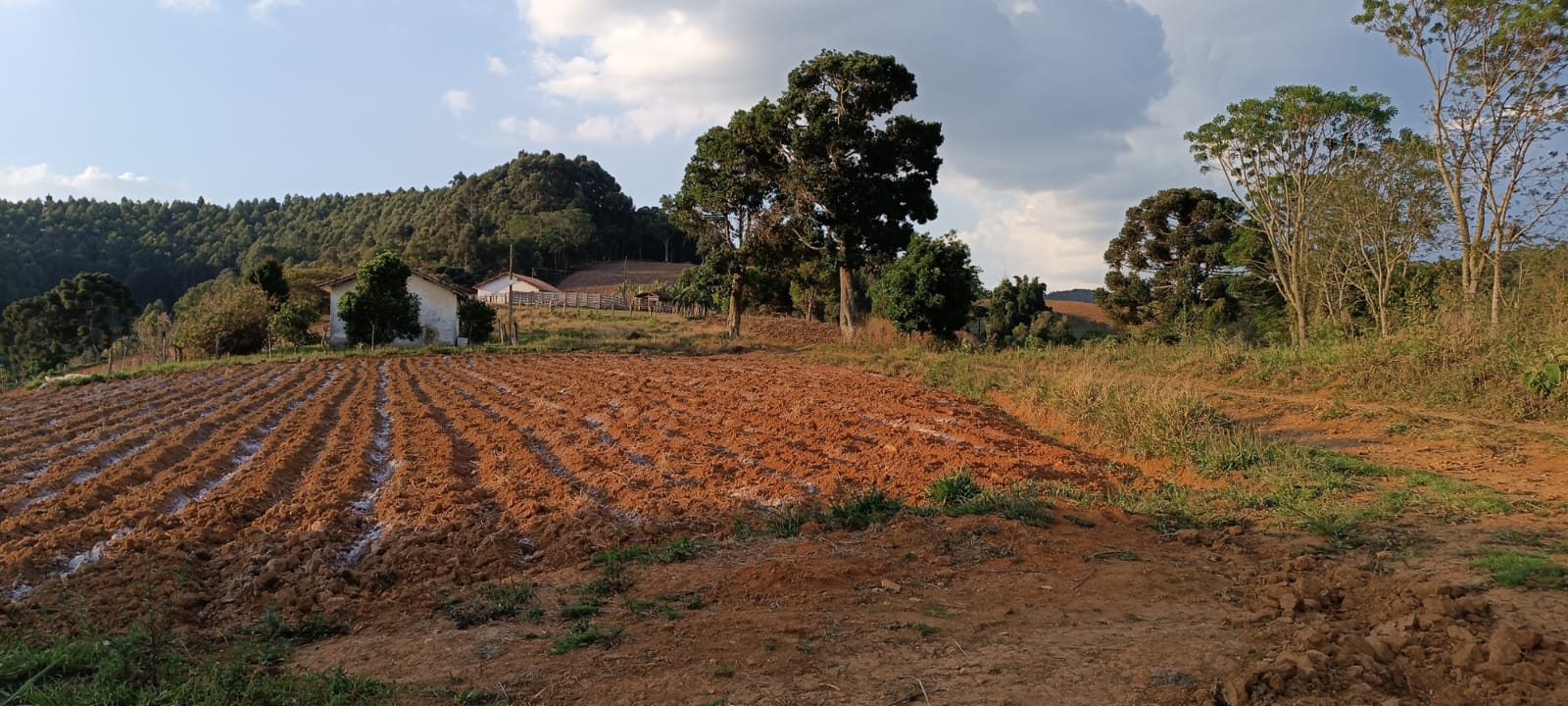 Fazenda com casas, excelente para plantio ou pecuária, varias nascentes | Camanducaia - MG  | código 1037