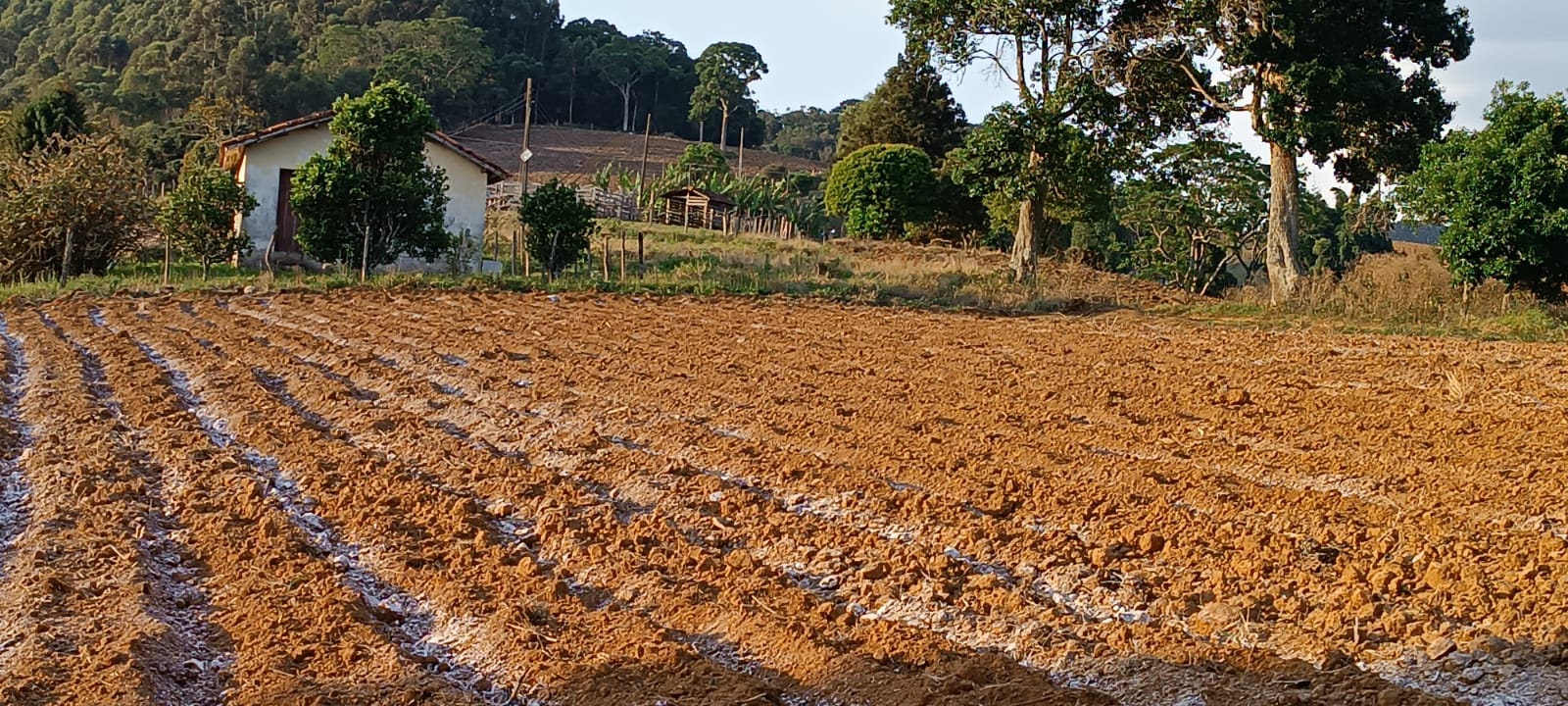 Fazenda com casas, excelente para plantio ou pecuária, varias nascentes | Camanducaia - MG  | código 1037