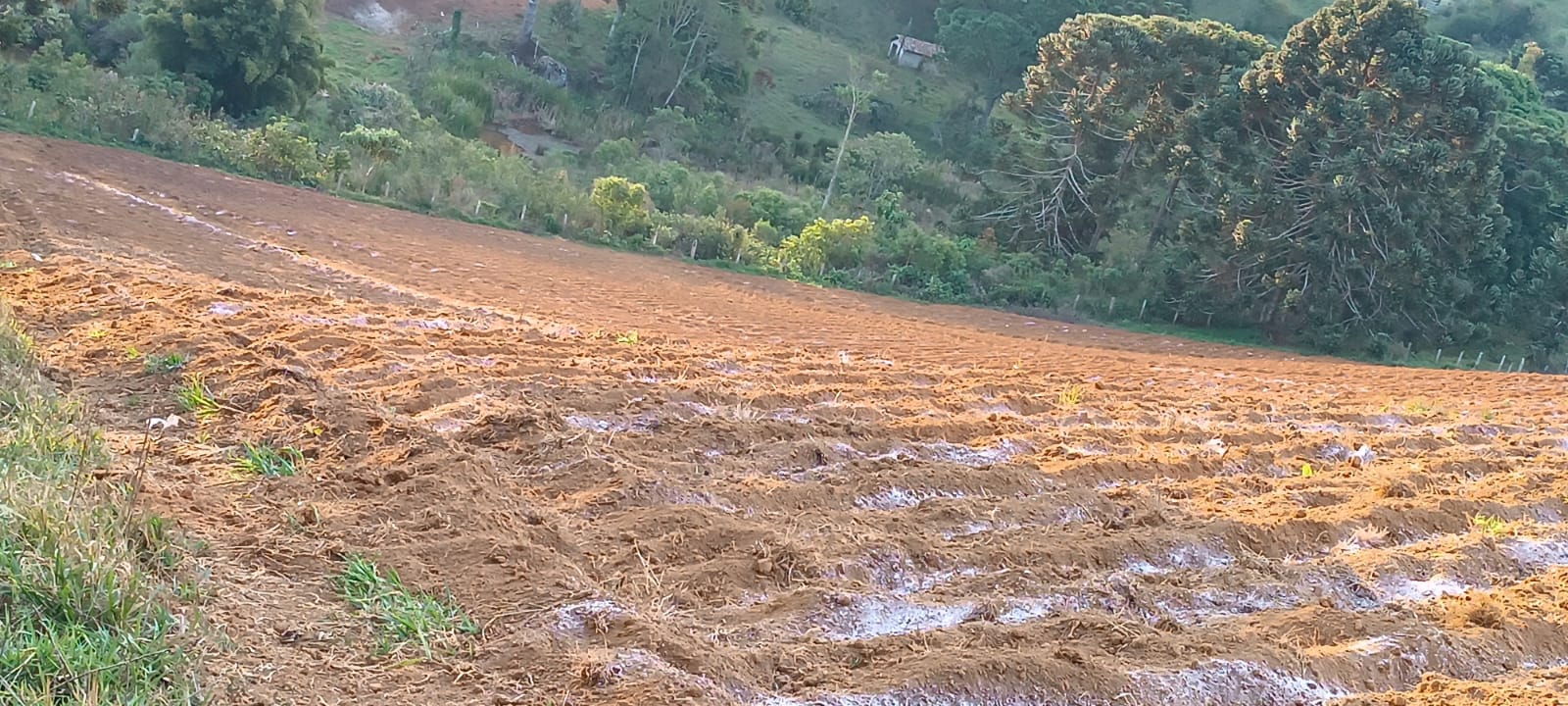 Fazenda com casas, excelente para plantio ou pecuária, varias nascentes | Camanducaia - MG  | código 1037