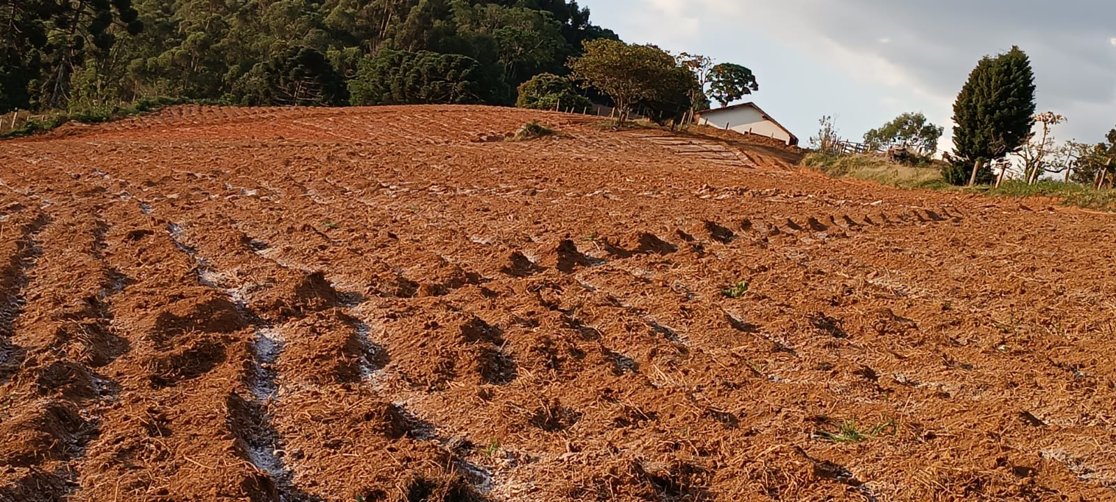 Fazenda com casas, excelente para plantio ou pecuária, varias nascentes | Camanducaia - MG  | código 1037