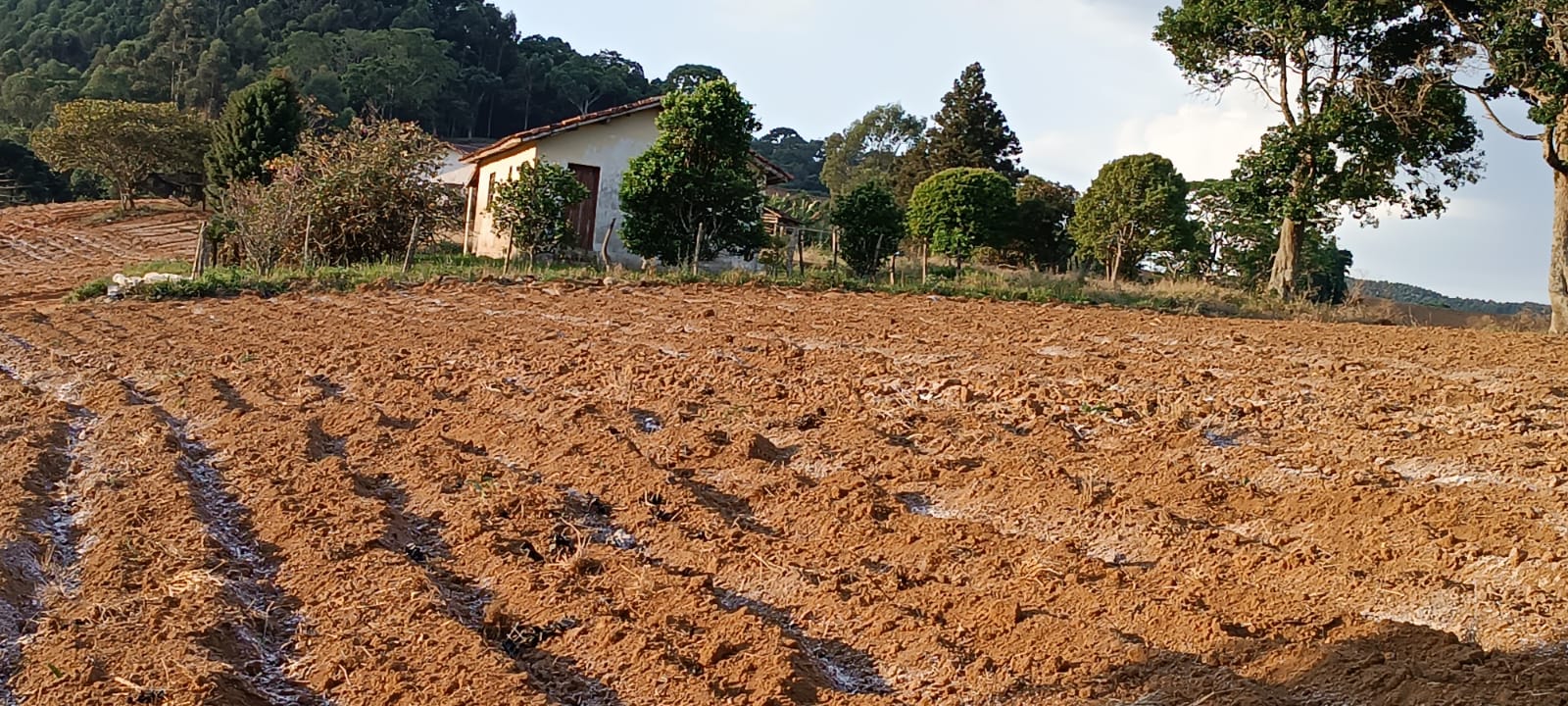 Fazenda com casas, excelente para plantio ou pecuária, varias nascentes | Camanducaia - MG  | código 1037