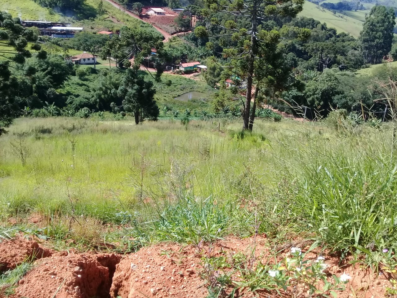 Terreno com vista panorâmica. Chegou a hora de realizar o sonho da casa no campo | Toledo - MG  | código 1039