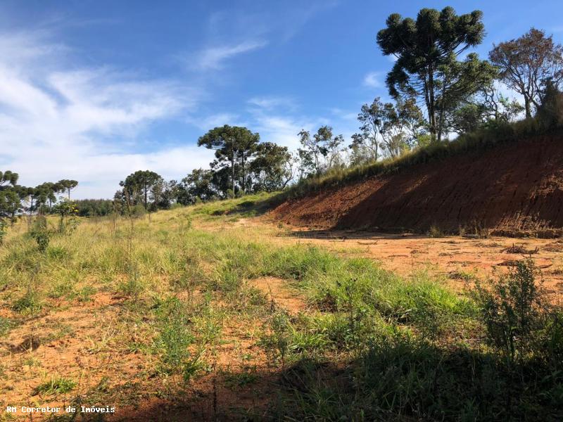 Terreno com vista panorâmica. Chegou a hora de realizar o sonho da casa no campo | Toledo - MG  | código 1039