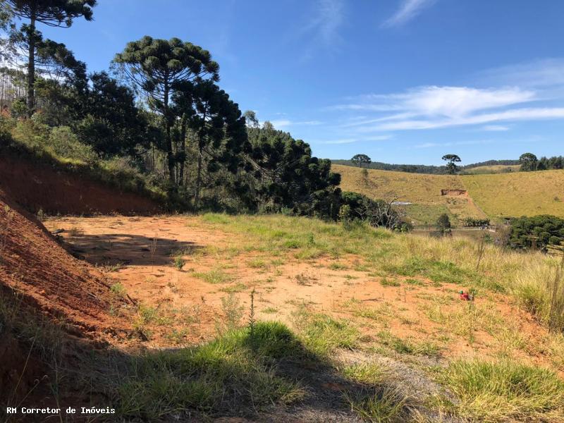 Terreno com vista panorâmica. Chegou a hora de realizar o sonho da casa no campo | Toledo - MG  | código 1039